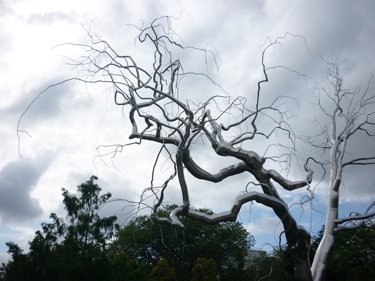 Branches 2